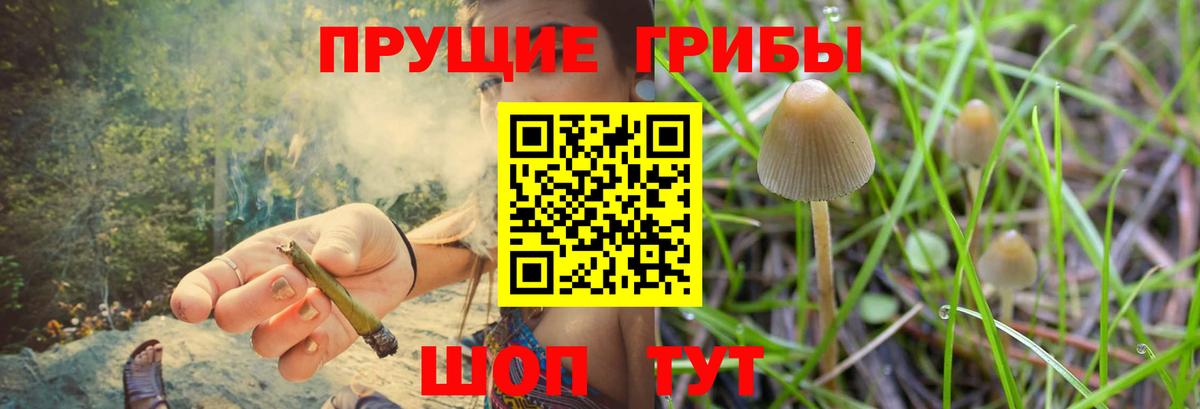 Юрга  Псилоцибиновые грибы мухоморы  Вход с VPN 